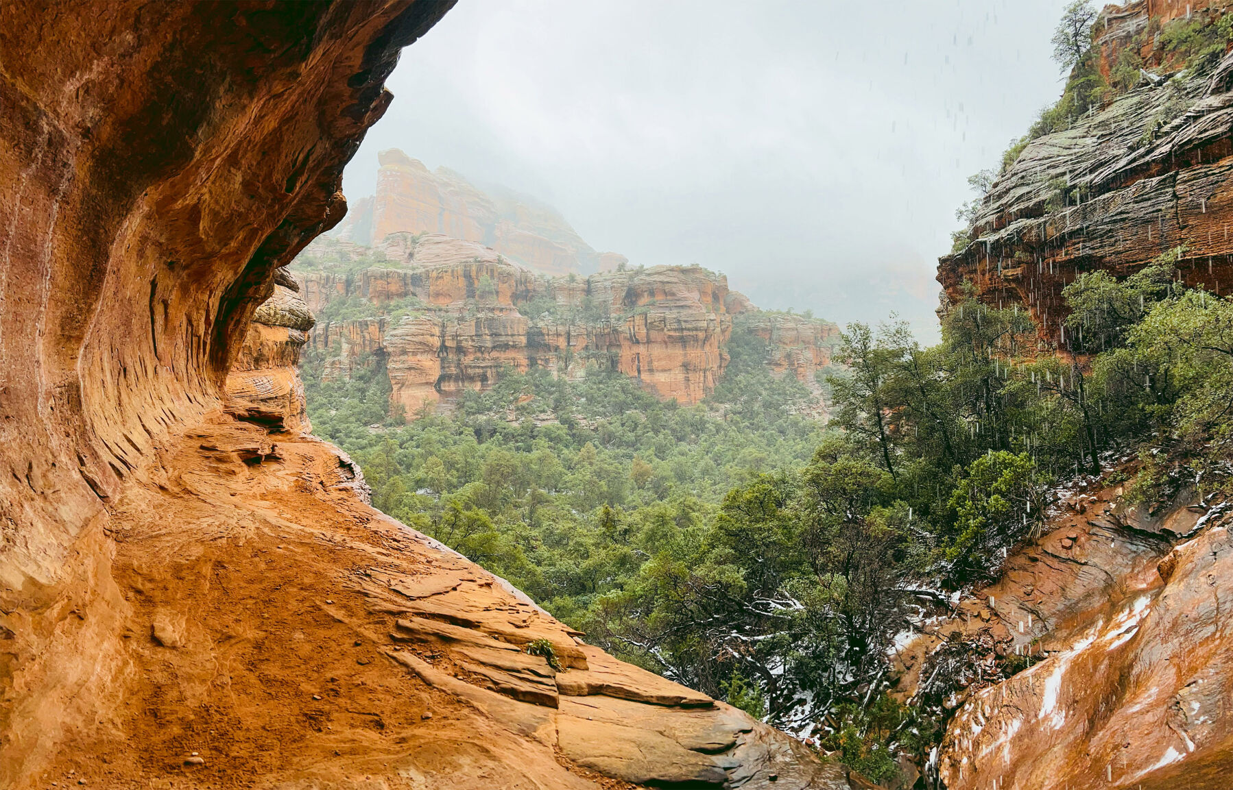2022 Nature Adventure Photo Contest